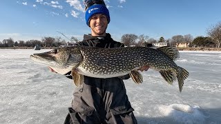 Late Ice Bluegill & Pike BEATDOWN | Lake Winnebago