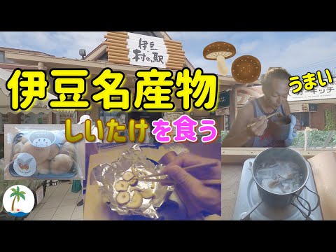 【きのこパーティー】伊豆名産物の椎茸を食う軽トラキャンピングカーひとり旅