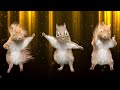 Śmieszne zwierzęta 🐰🐿 Tańczące zwierzęta - Zabawne zwierzęta tańczą - Taniec wiewiórki