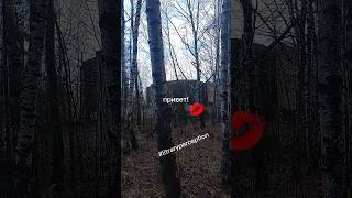Перцепция 2
