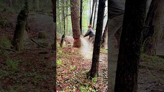 Dropping a hemlock stub!!! Bark explosion!!! #chainsaw #hemlock  #sthilchainsaw #firewood #felling