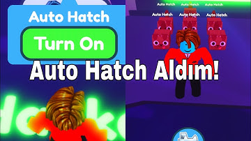 Auto Hatch Satın Aldım!|Pet Simulator X