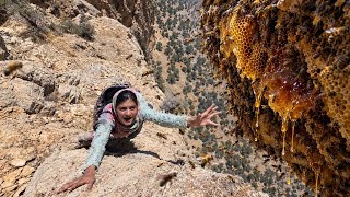 🍯🐝 Wild Honey Harvest in the Heart of the Zagros Mountains by Zeynab, a Nomadic Girl! ⛰️🌿