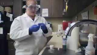 VETT 222 Task 8