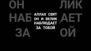 Аллахﷻ наблюдает за тобой!      #напоминание #мусульман #судныйдень #наставление