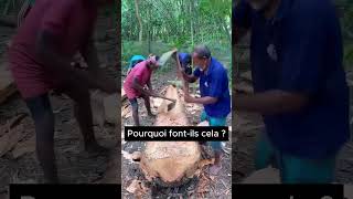 Download Lagu Comment les pirogues sont fabriquées MP3