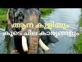 ആനക്കുളിയും കൂടെ ചില കാര്യങ്ങളും | Elephant Shower and Bath | Nettipattam