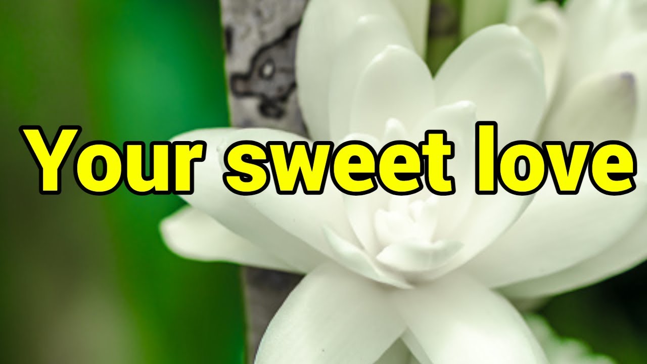 I wish to be everything that brings a smile on your face and joy in your heart. I want to love you..