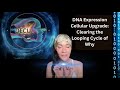 Dna expression cellular upgrade clearing the looping cycle of why