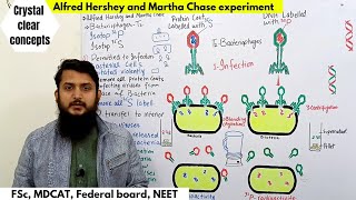 Hershey And Chase Experiment Dna As Hereditary Material Fsc, Mdcat, Federal Board Urduhindi