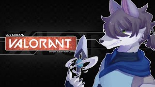 【顔面レディアント】久々に見るんじゃない？俺のジェット【VALORANT】