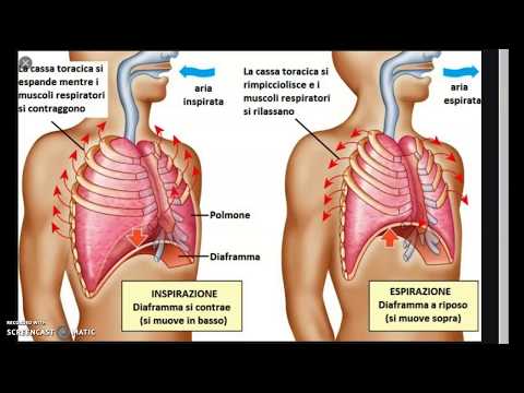 Video: Differenza Tra Inalazione Ed Espirazione