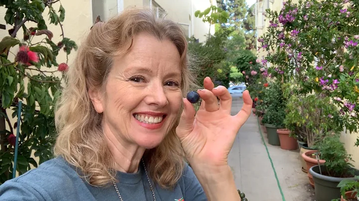 Mid-week Connection! Tune in for an hour and SHARE!