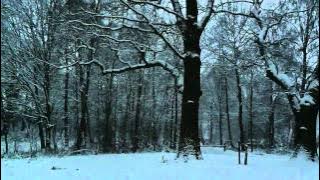 فيروز، رجعت الشتوية