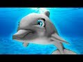 МАЛЕНЬКАЯ РЫБКА #1 Дельфин и морские рыбки в бассейне аквариуме. Видео для детей с Кидом #ПУРУМЧАТА