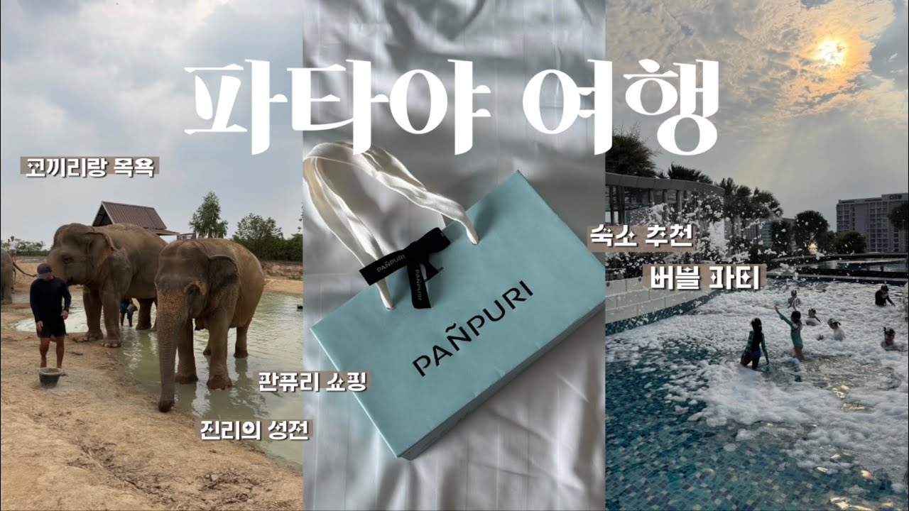 파타야 1박2일🇹🇭 가족여행 숙소 추천 그란데 센터 포인트, 코끼리 목욕 시키기🐘🫧 진리의 성전 투어, 터미널 21 맛집, 피어21 😋 마사지 추천, 정글 생츄어리