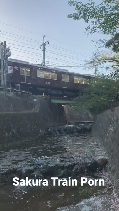 Sakura Train Porn