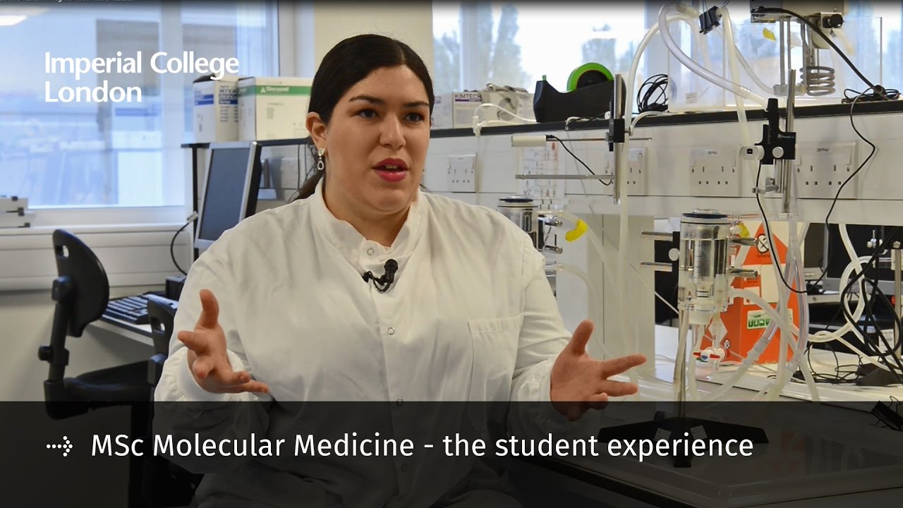 MSC Molecular Medicine in Germany – CollegeLearners.com