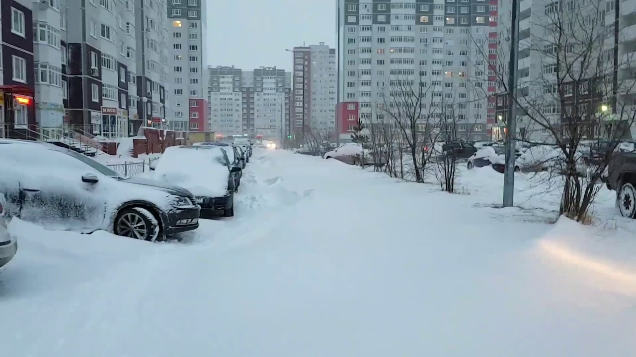 зима в краснодаре. ойойойо зима прикольные. этой зимой выпадет снег. снегопад в калуге. этой зимой выпадет снег.