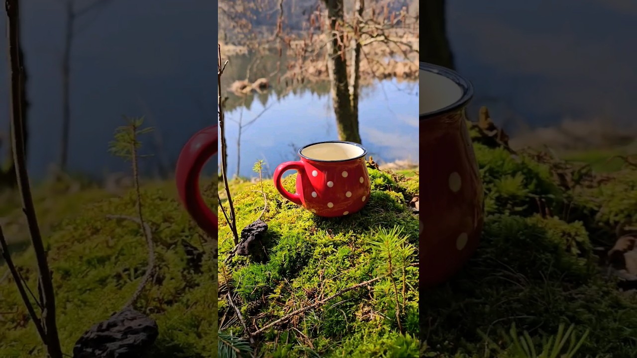 Cup of coffee in the forest 