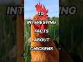 10 Interesting Facts About Chickens #top #top10 #amazingfacts #interestingfacts #trending #chicken