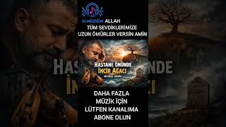 Hastane Önünde İnci̇r Ağaci Üzik Ürkü Ürkhalkmüziği Ürkiye