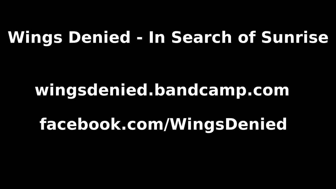 shellfest 2015 sampler #4