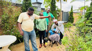 Papa Sava Ep1251 Slayqueen Bimwakiye Nk Ibikunyu By Niyitegeka Gratien ...