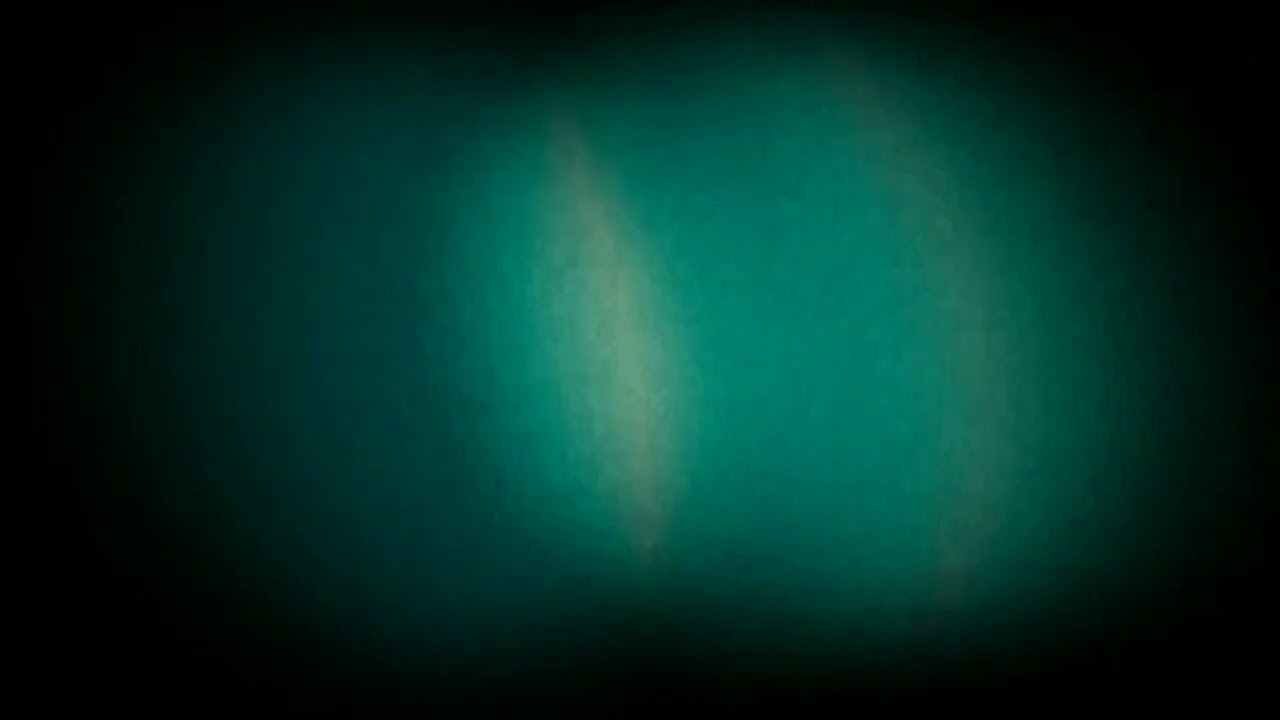 Sebastian Gramss --Beauty.Nevertheless-- 2025 excerpt