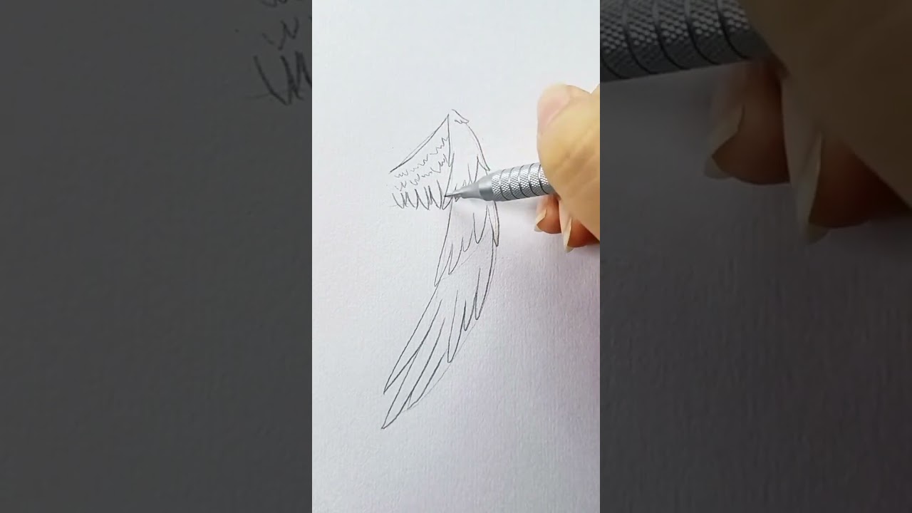 Как нарисовать крылья ангела просто руководство по рисованию