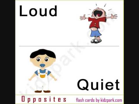 opposites flash cards youtube