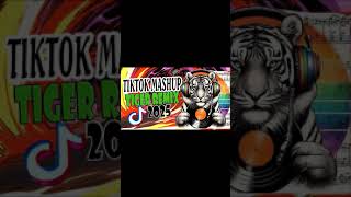 NEW TIKTOK MASHUP NONSTOP REMIX 2025 🚀💥 VIRAL TIKTOK DISCO REMIX 2025 🚀💥 TIKTOK PARTY MUSIC 2025 🚀💥