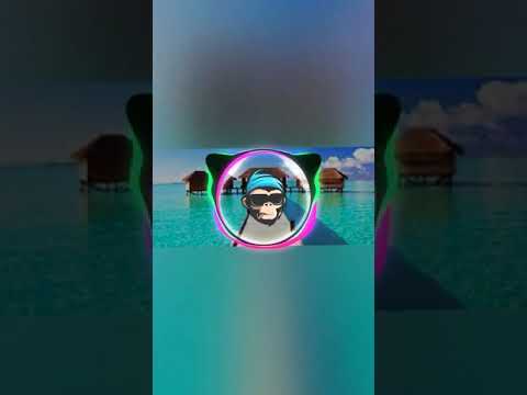 dj happy (funky night)