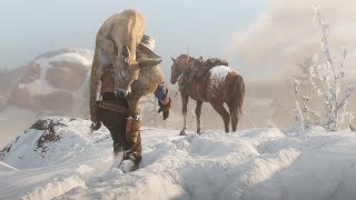 Survivalist  Challenges 1 To 10 Rdr2
