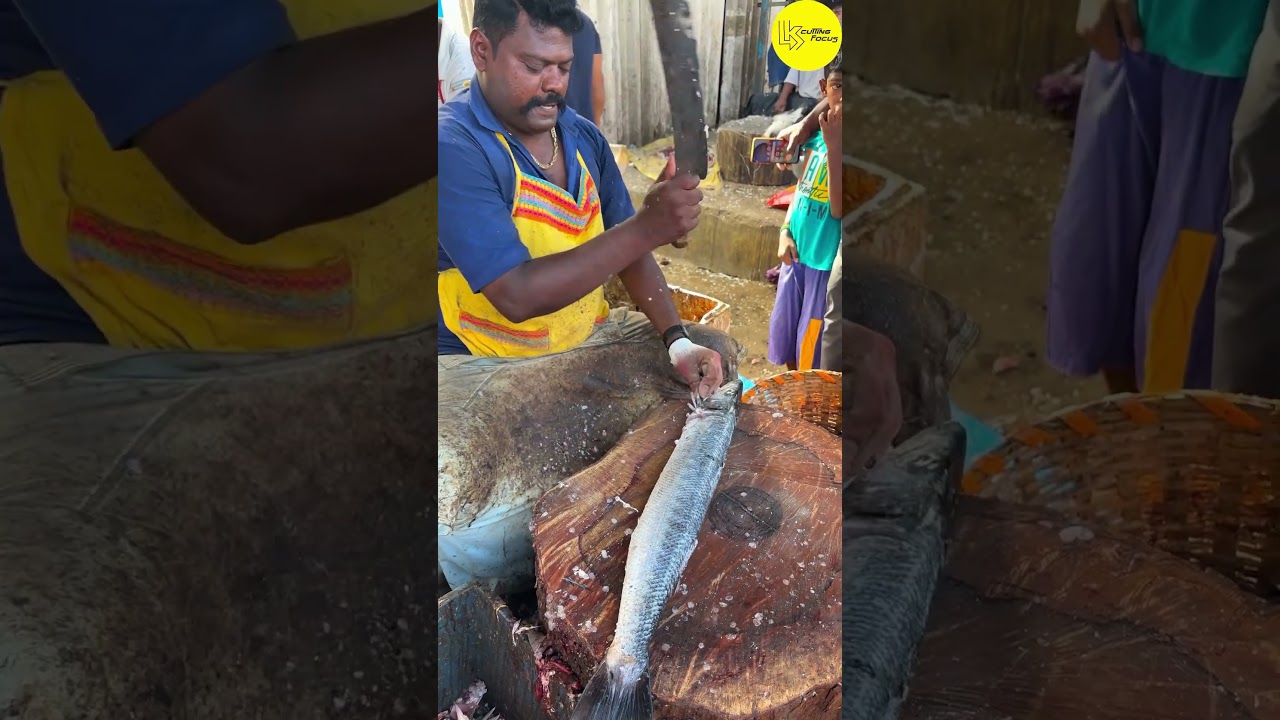 KASIMEDU SPEED SELVAM SHEELA FISH 🐟 CUTTING VIDEO 