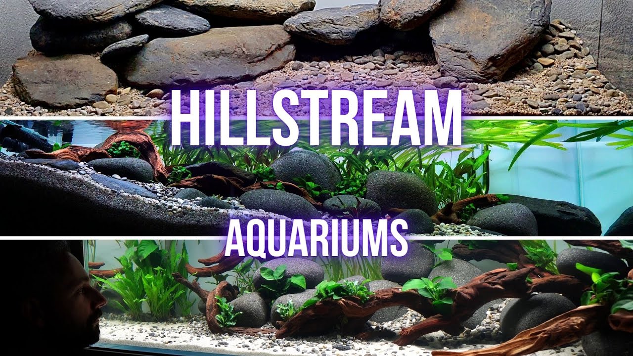 My TOP 3 HILLSTREAM AQUARIUM builds | RIVER AQUARIUM Step by step AQUASCAPING TUTORIAL