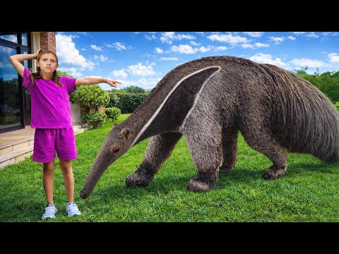 Wild Animals Came to Life at My Home! 🦁🏠 | Learn Animal Names with Alex!