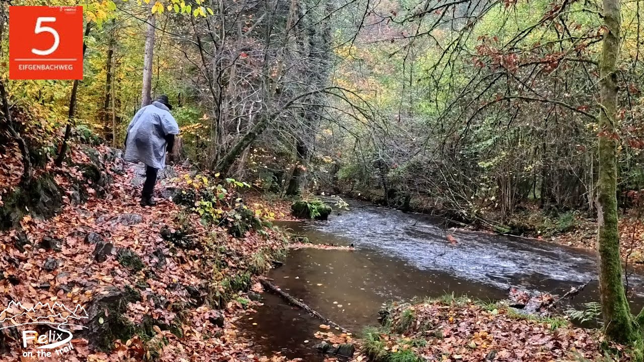 Eifgenbachweg + Quelle: 24km absolut traumhafter Bergischer Streifzug 5