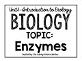 Biology Enzymes Quiz