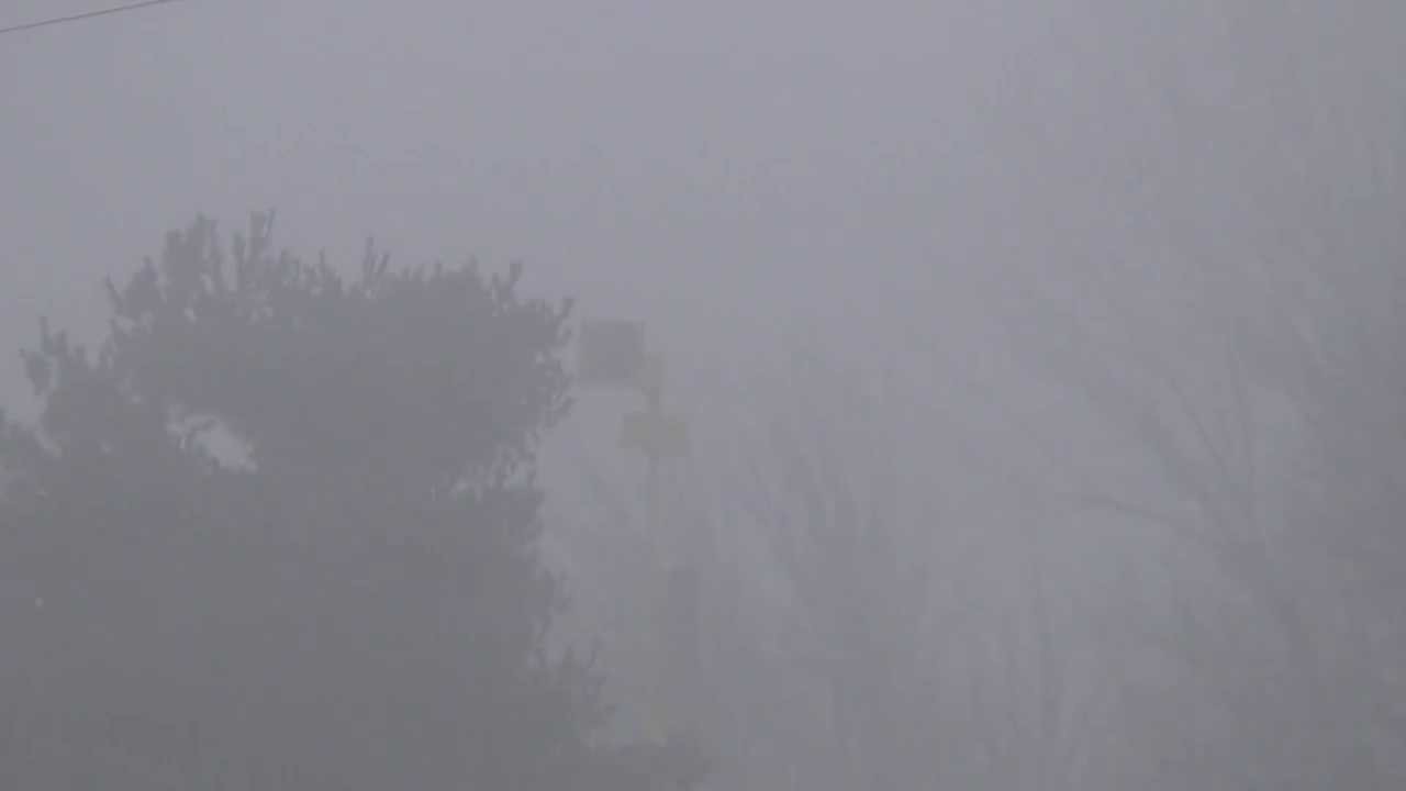 Dual FS Thunderbolt 1000Ts plus Ambiance Toluca, IL 12/3/13