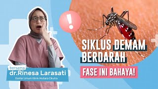 Siklus demam berdarah itu kaya gimana sih? Apakah berbahaya?