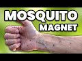 Why Mosquitoes Skip Some People