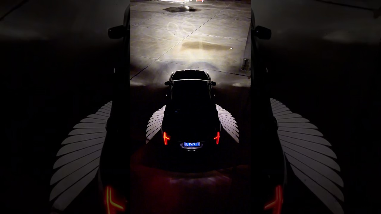 Angel wings puddle lights |Blazexel