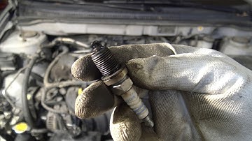 Wet Spark Plugs. What is wrong in my Engine? Look my comments and answers.