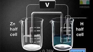 Electrochemical Cells: The Standard Electrode Potential (REDOX)
