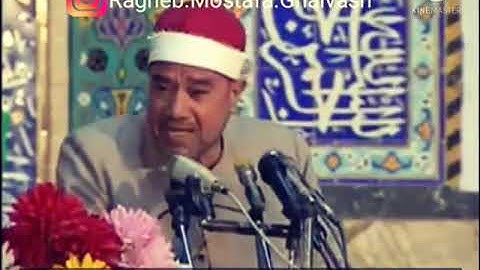 سورة القصص آية ۹، الشيخ راغب مصطفی غلوش