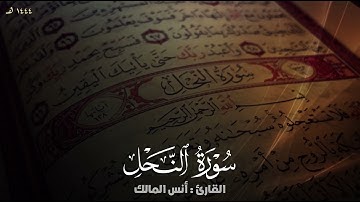 تلاوة سورة النحل للقارئ أنس المالك من ليالي رمضان لعام ١٤٤٤
