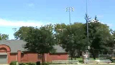 T-rex 450 rolls & loops