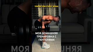 Тренировка спины с гантелями дома — 3 упражнения для широчайших, трапеций и ромбовидных #гантели
