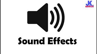 Camera Sound Effect